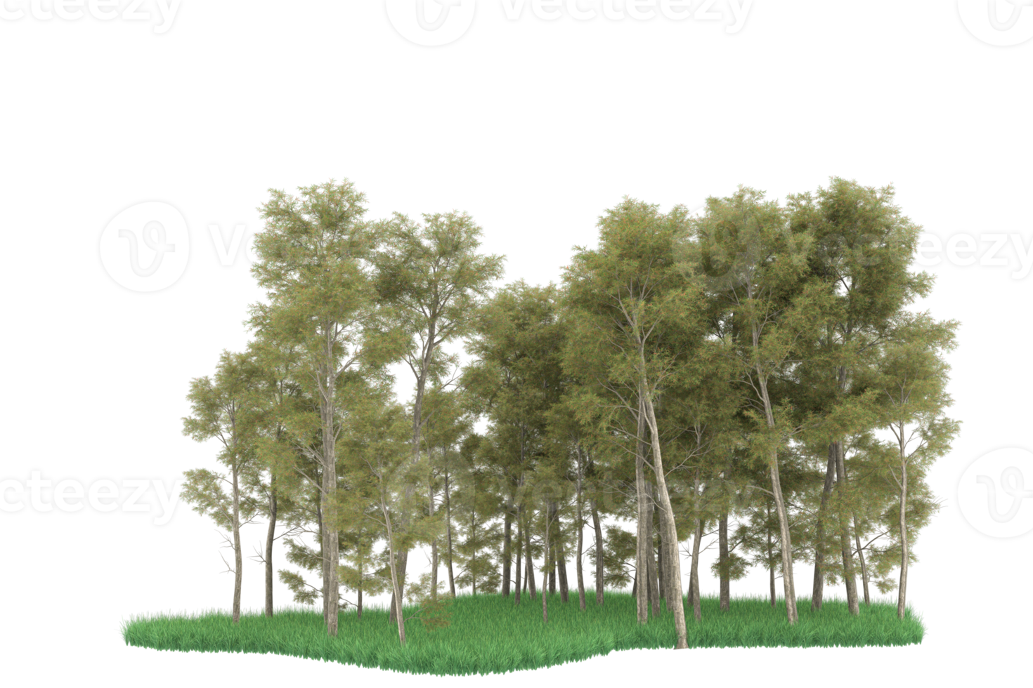 Realistic forest isolated on transparent background. 3d rendering - illustration png