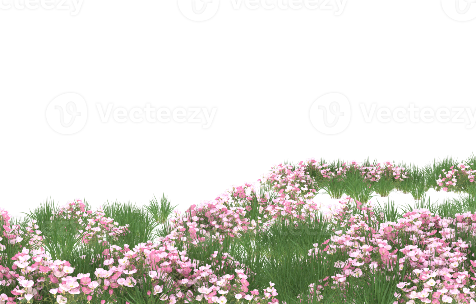 Realistic foliage isolated on transparent background. 3d rendering - illustration png