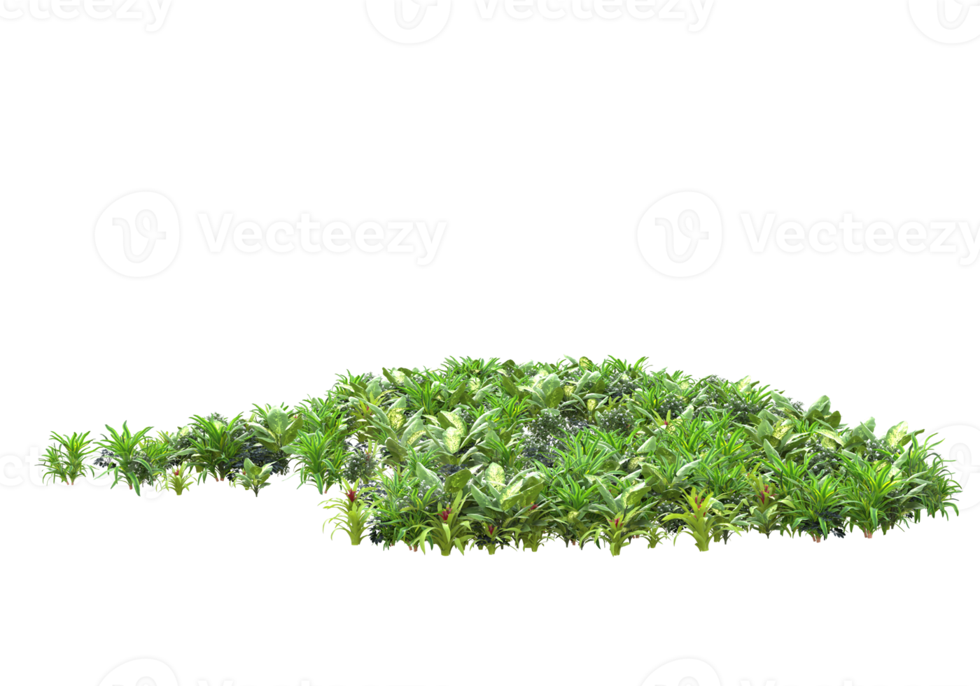 Realistic foliage isolated on transparent background. 3d rendering - illustration png