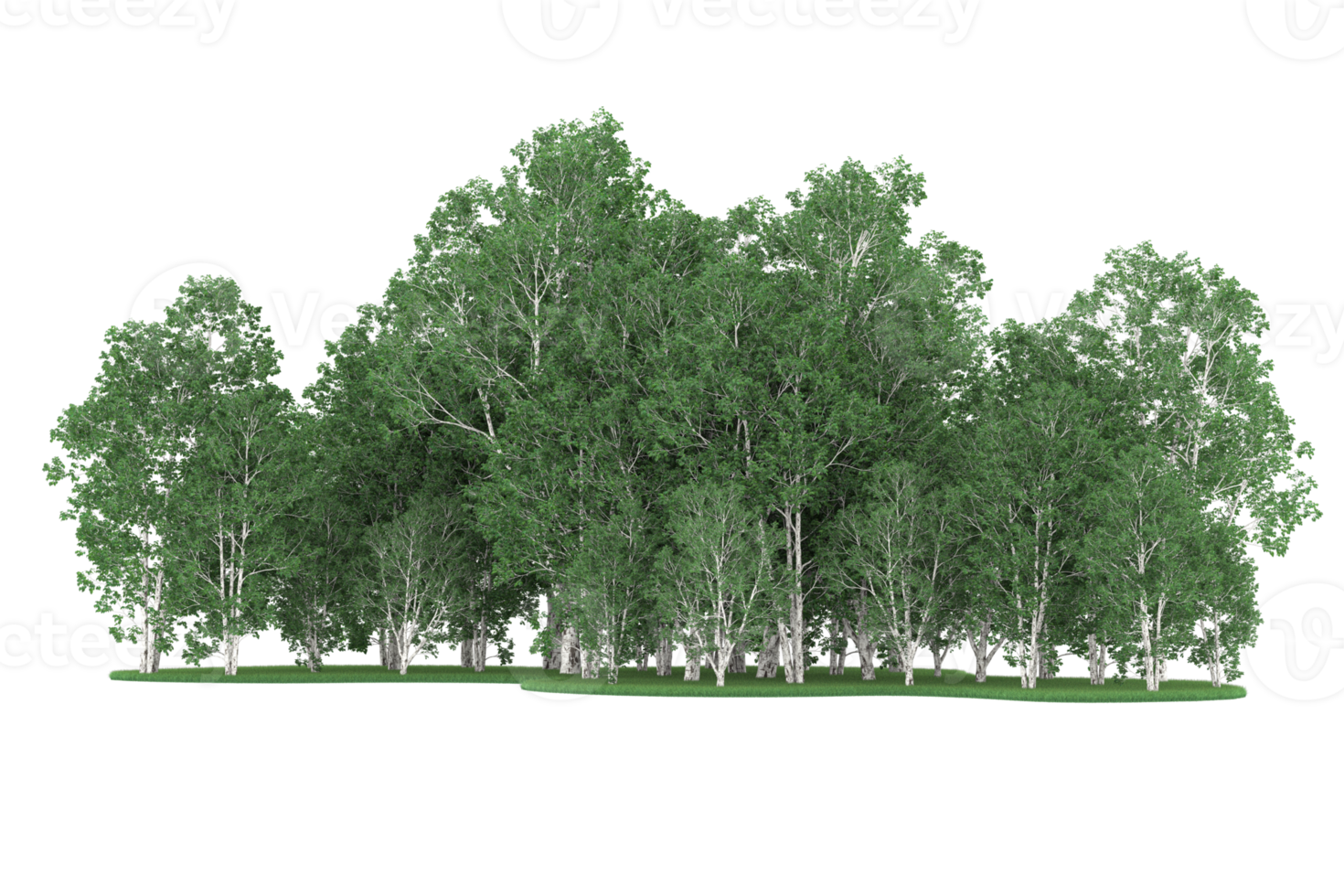 Realistic forest isolated on transparent background. 3d rendering - illustration png