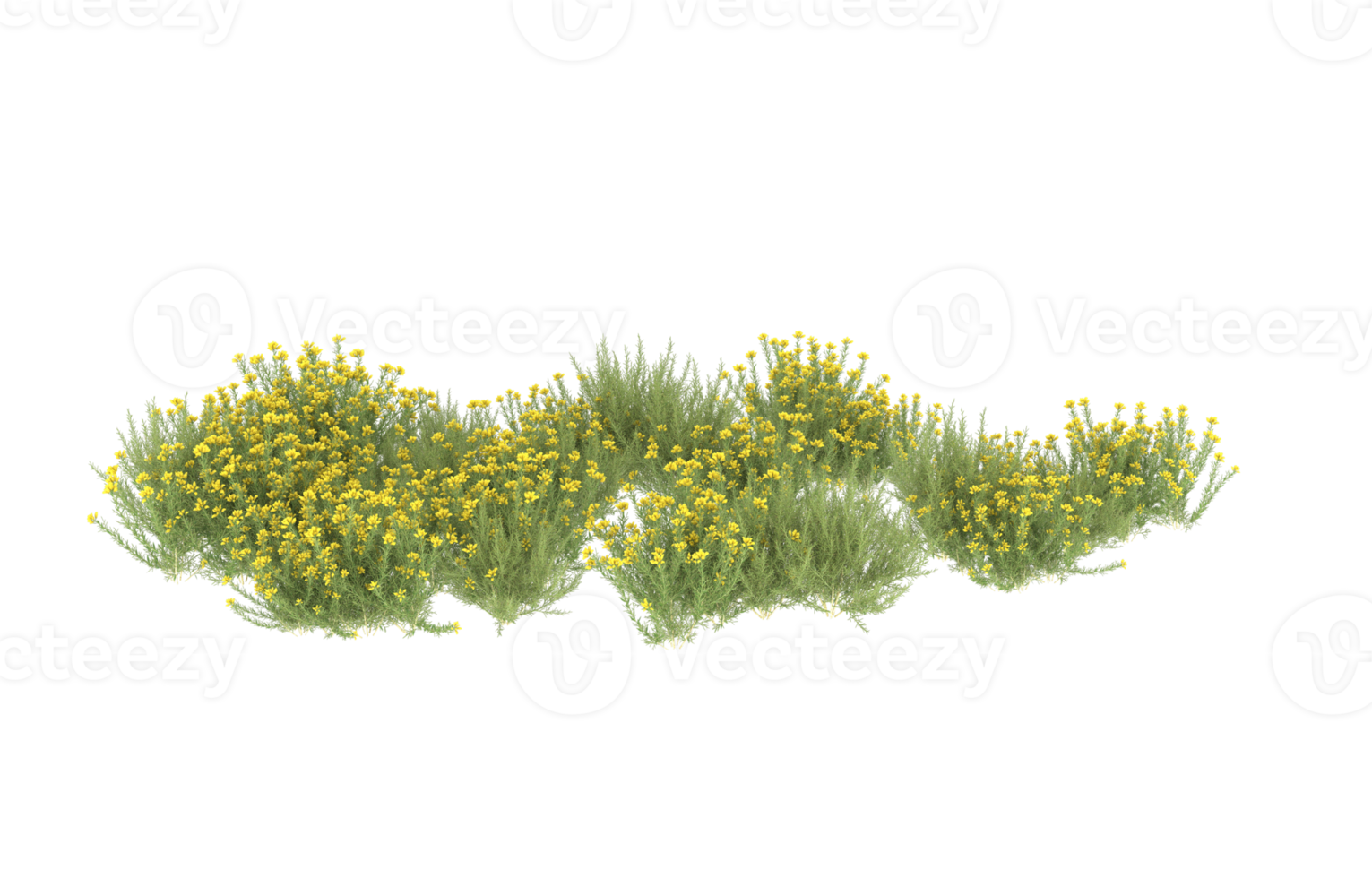 realistisk lövverk isolerat på transparent bakgrund. 3d tolkning - illustration png