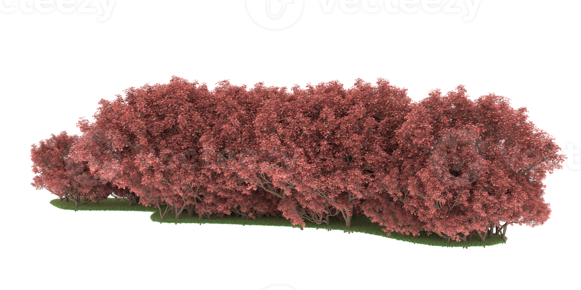 Realistic forest isolated on transparent background. 3d rendering - illustration png