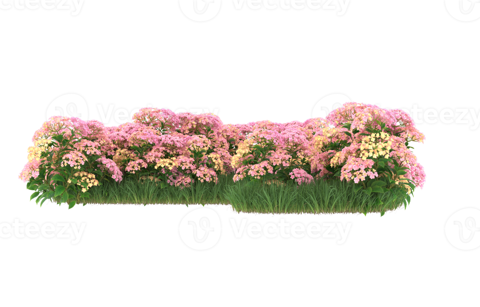 Realistic foliage isolated on transparent background. 3d rendering - illustration png