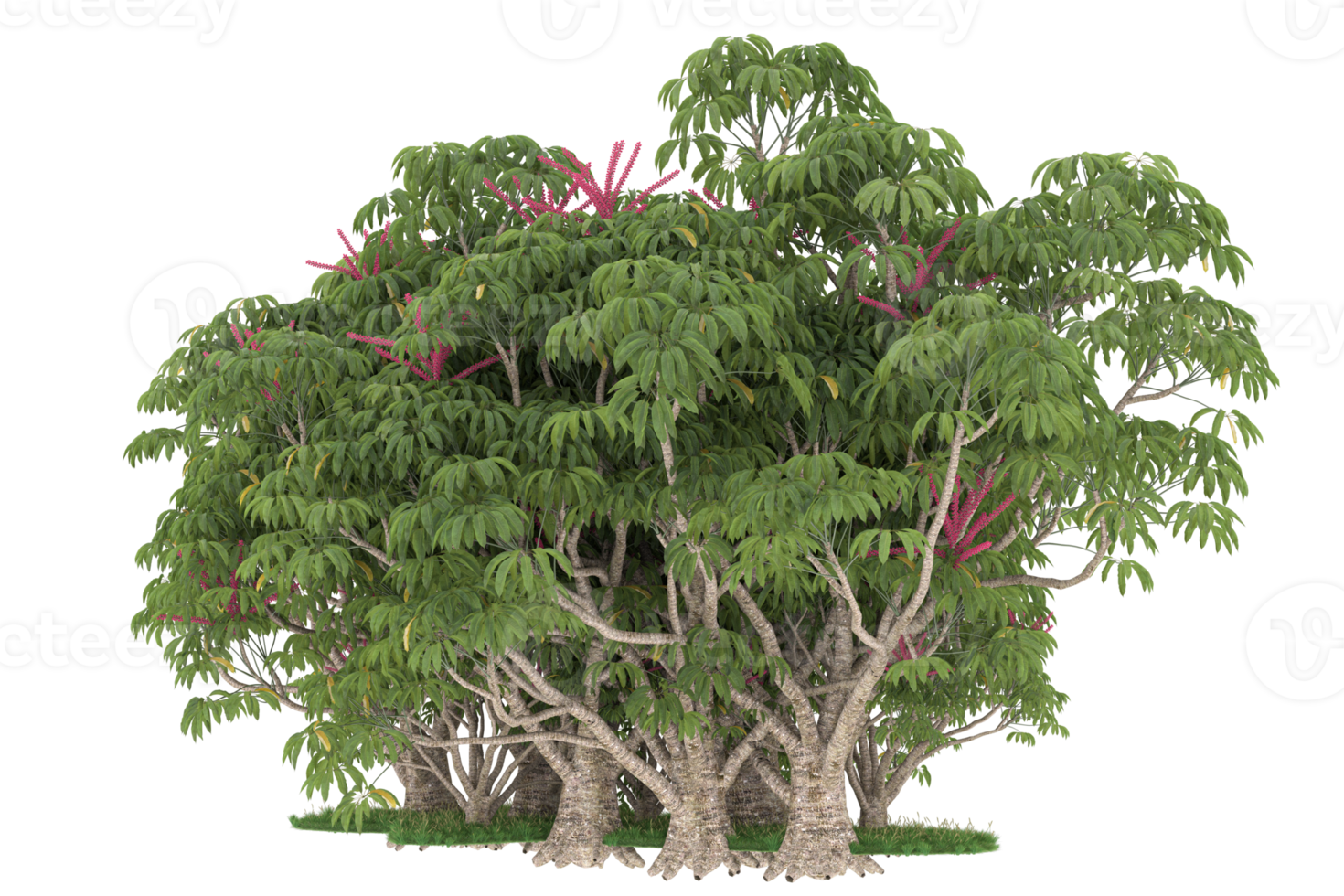 Realistic forest isolated on transparent background. 3d rendering - illustration png