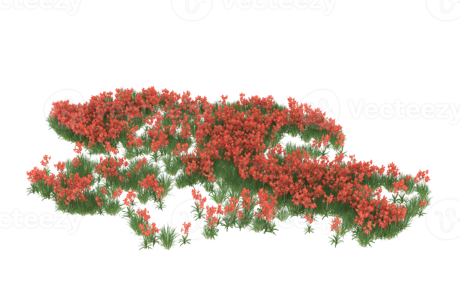 Realistic foliage isolated on transparent background. 3d rendering - illustration png