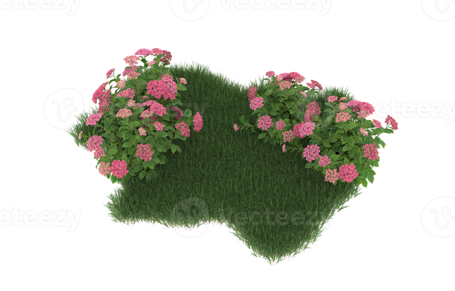 Realistic foliage isolated on transparent background. 3d rendering - illustration png