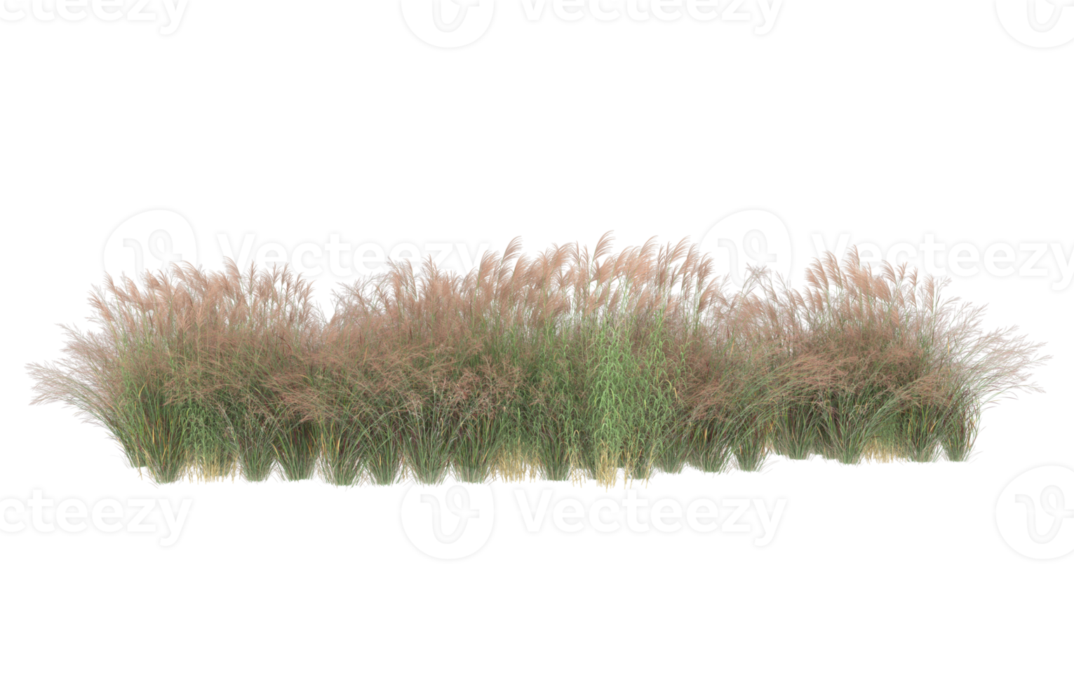 Realistic foliage isolated on transparent background. 3d rendering - illustration png