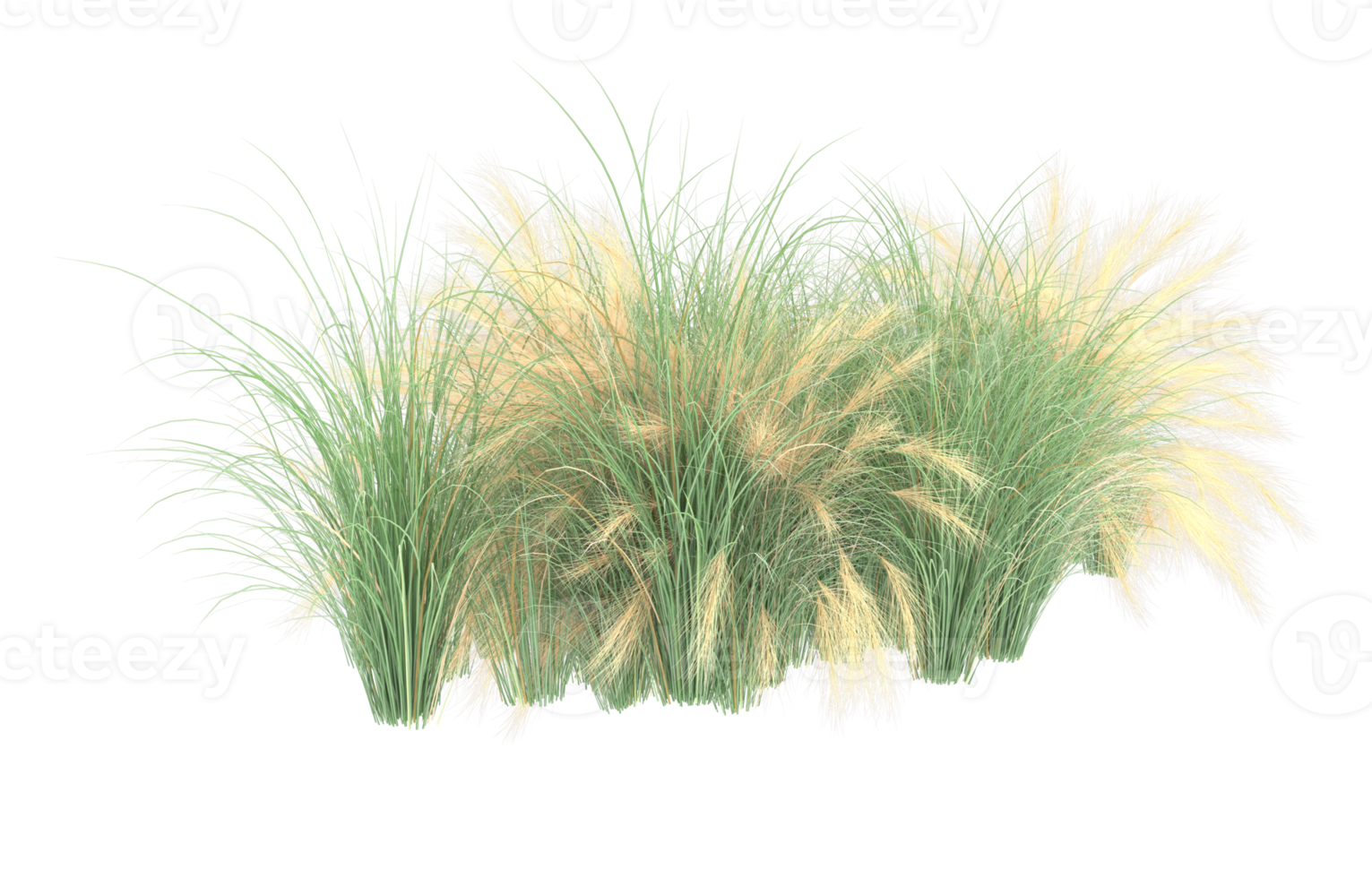 Realistic foliage isolated on transparent background. 3d rendering - illustration png