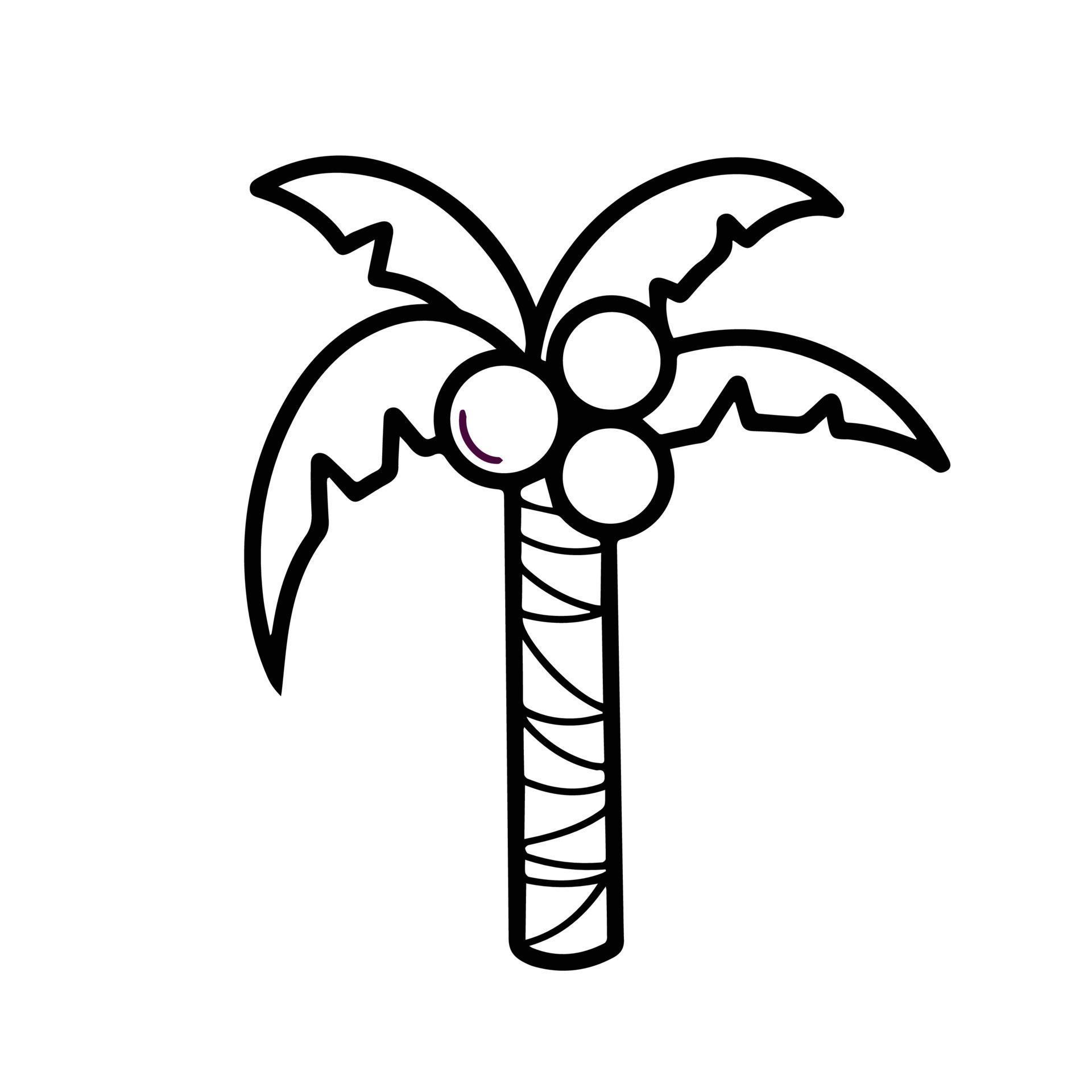 Black and white monochrome coconut tree icon vector illustration