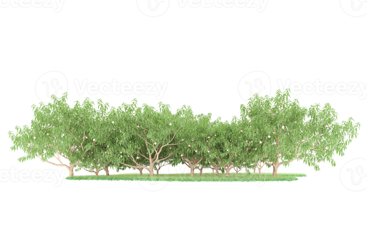 Realistic forest isolated on transparent background. 3d rendering - illustration png