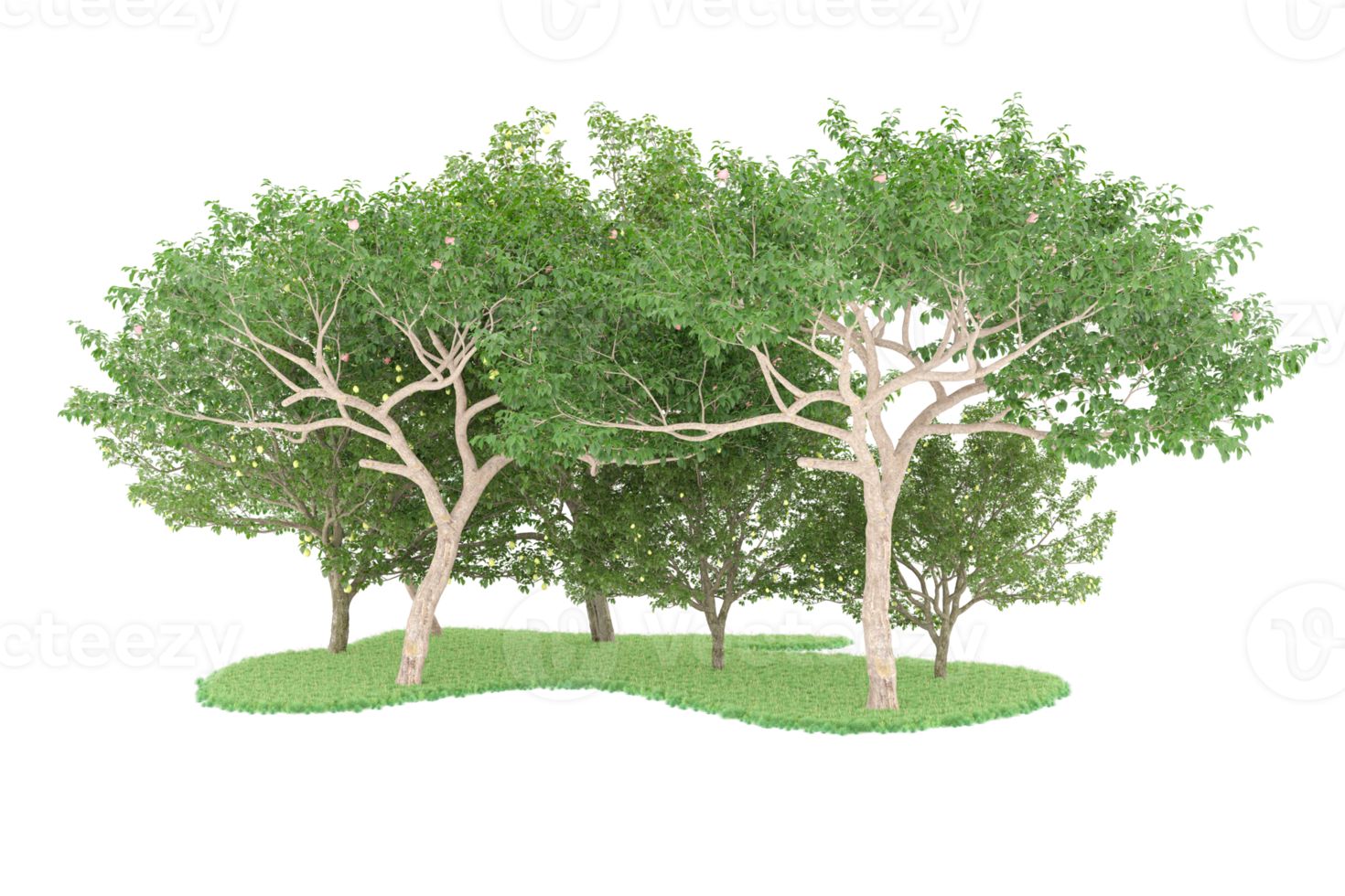 Realistic forest isolated on transparent background. 3d rendering - illustration png