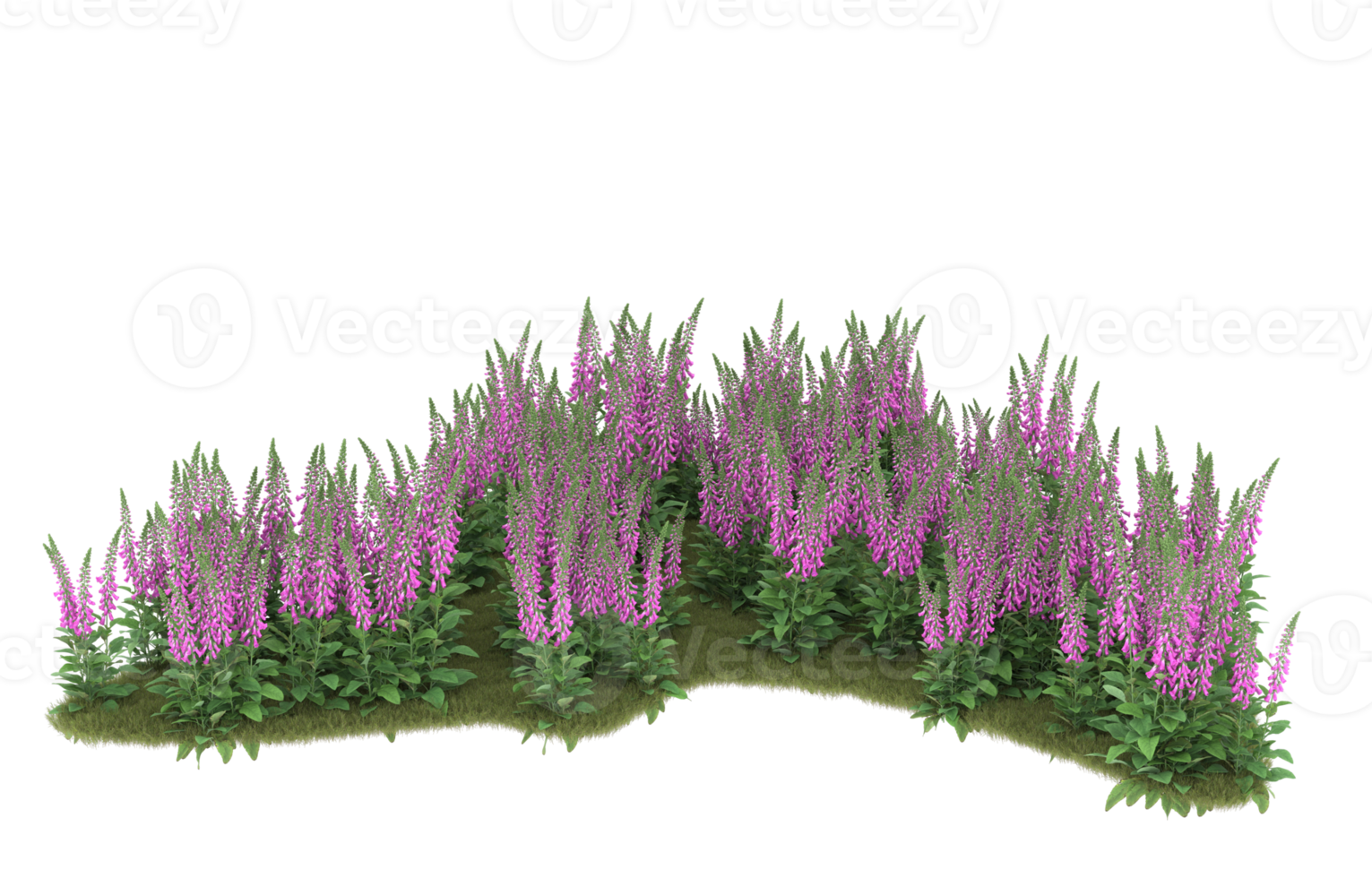 Realistic foliage isolated on transparent background. 3d rendering - illustration png
