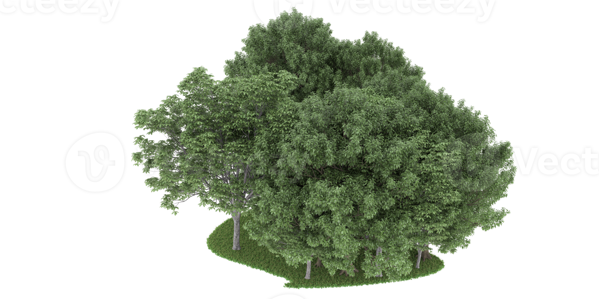 realistico foresta isolato su trasparente sfondo. 3d interpretazione - illustrazione png