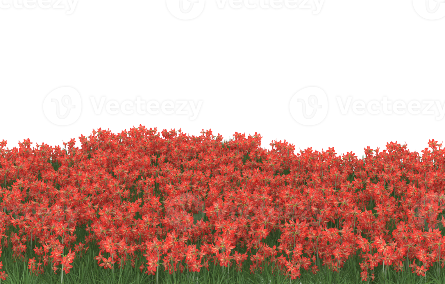 Realistic foliage isolated on transparent background. 3d rendering - illustration png