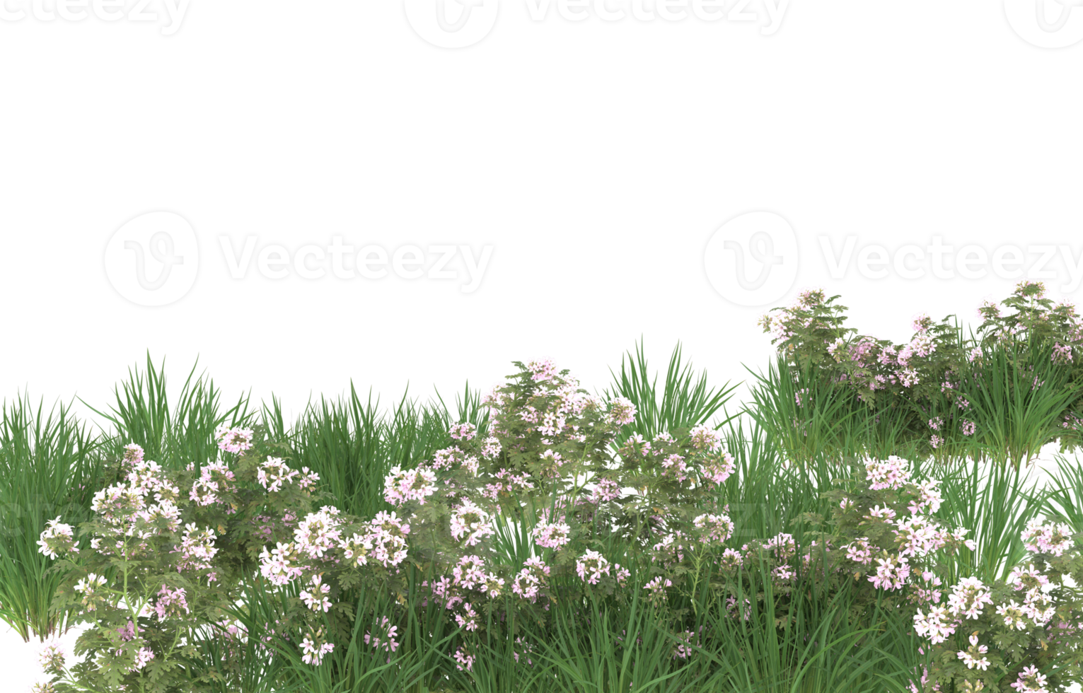 Realistic foliage isolated on transparent background. 3d rendering - illustration png