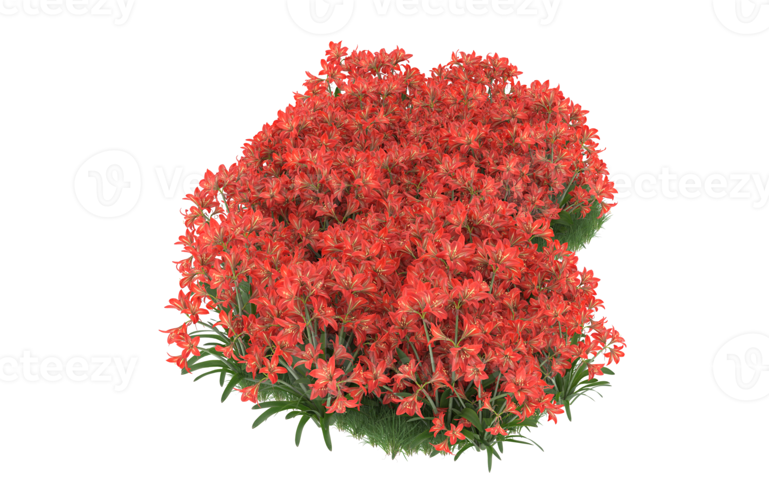 Realistic foliage isolated on transparent background. 3d rendering - illustration png