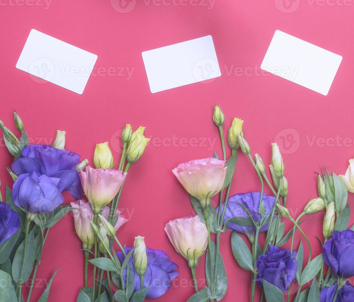 fresh blooming flowers Eustoma Lisianthus and empty paper card photo