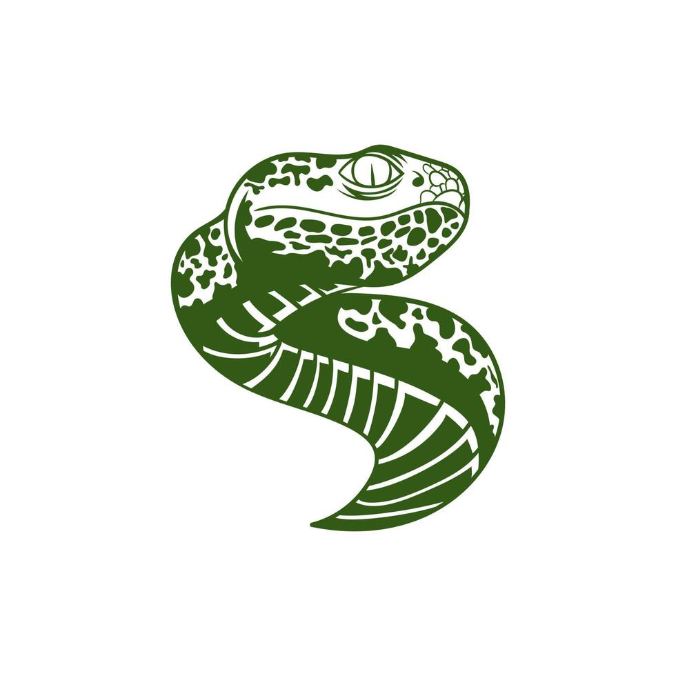 serpiente víbora verde ilustración diseño creativo vector