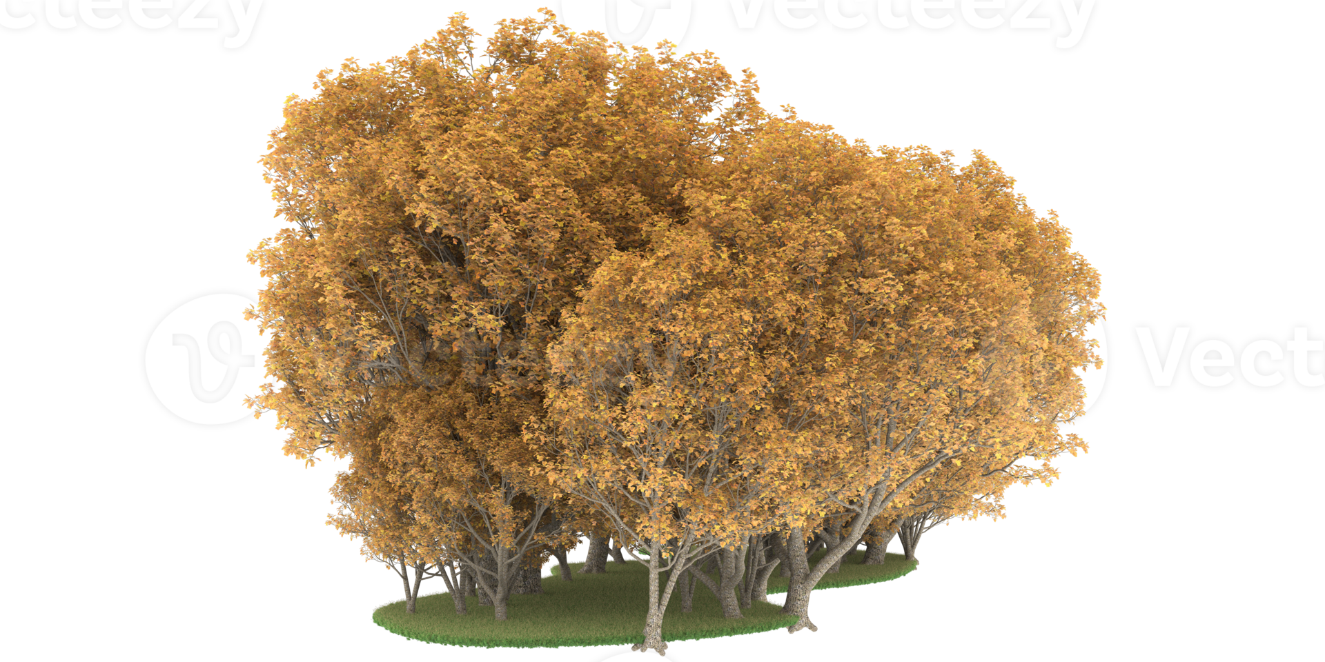 Realistic forest isolated on transparent background. 3d rendering - illustration png