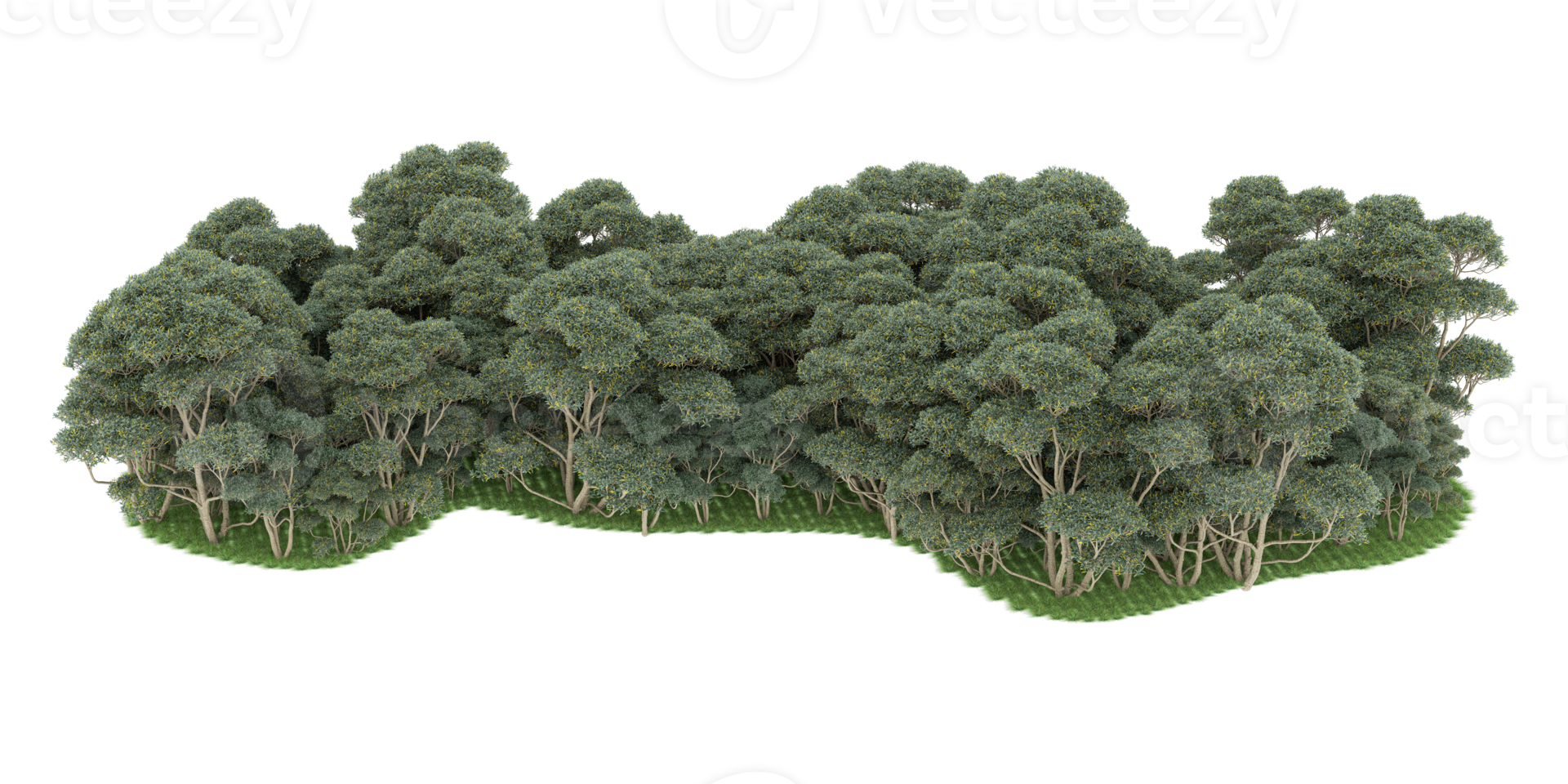 Realistic forest isolated on transparent background. 3d rendering - illustration png