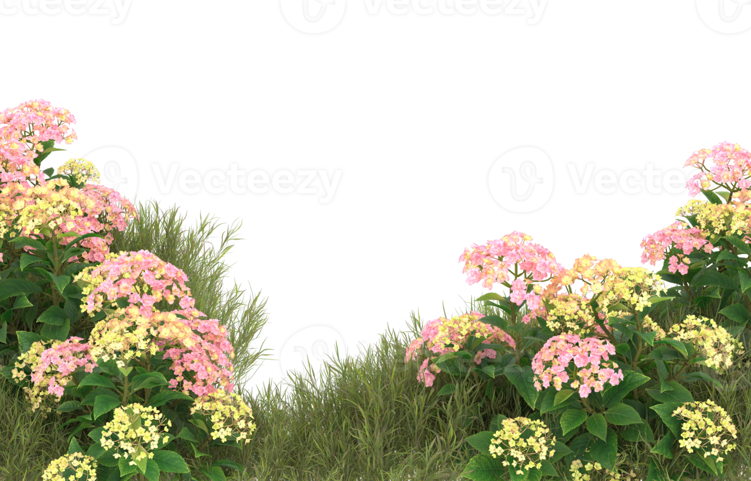 Realistic foliage isolated on transparent background. 3d rendering - illustration png
