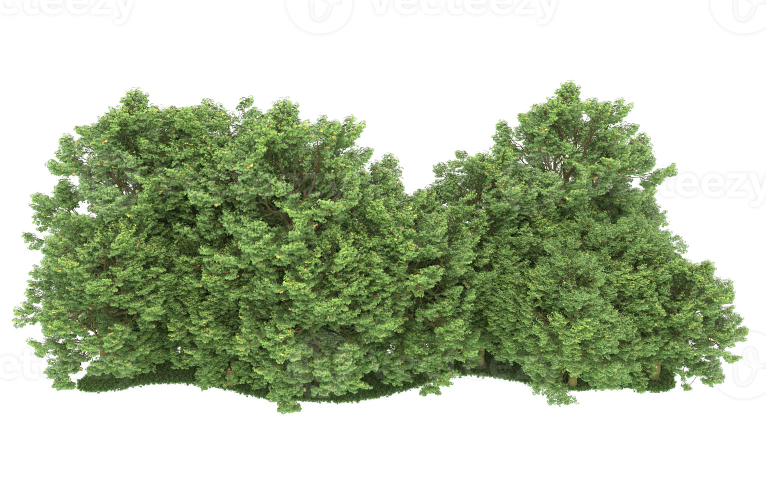 Realistic forest isolated on transparent background. 3d rendering - illustration png