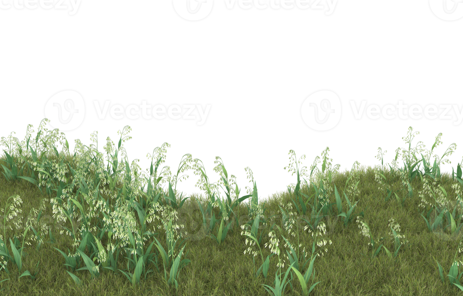 Realistic foliage isolated on transparent background. 3d rendering - illustration png
