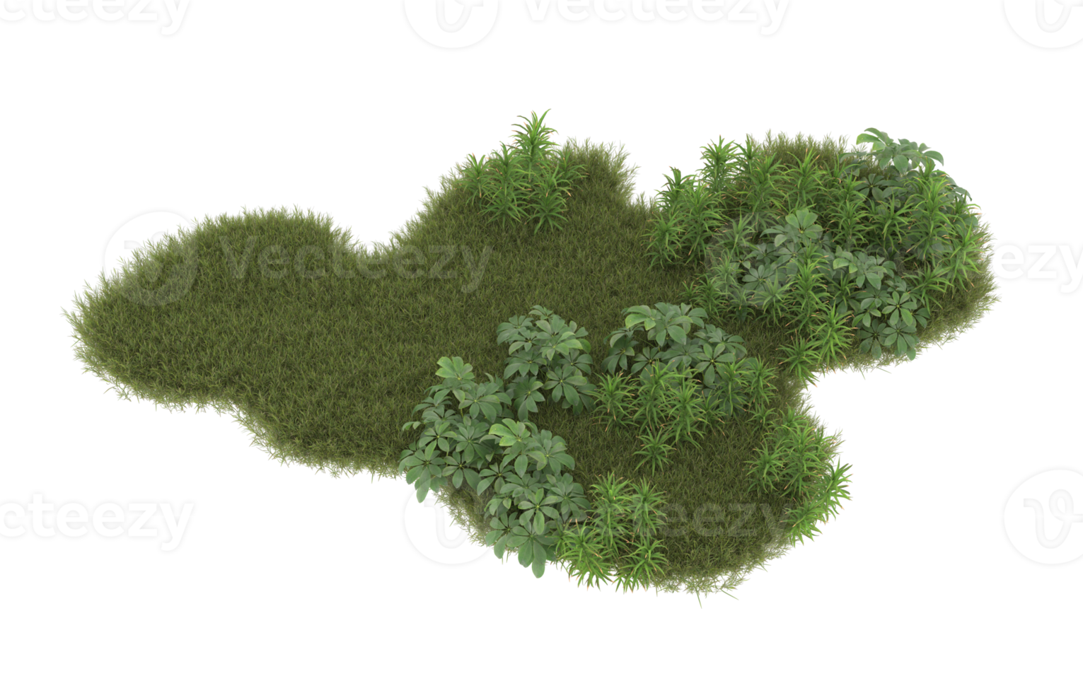 Realistic foliage isolated on transparent background. 3d rendering - illustration png