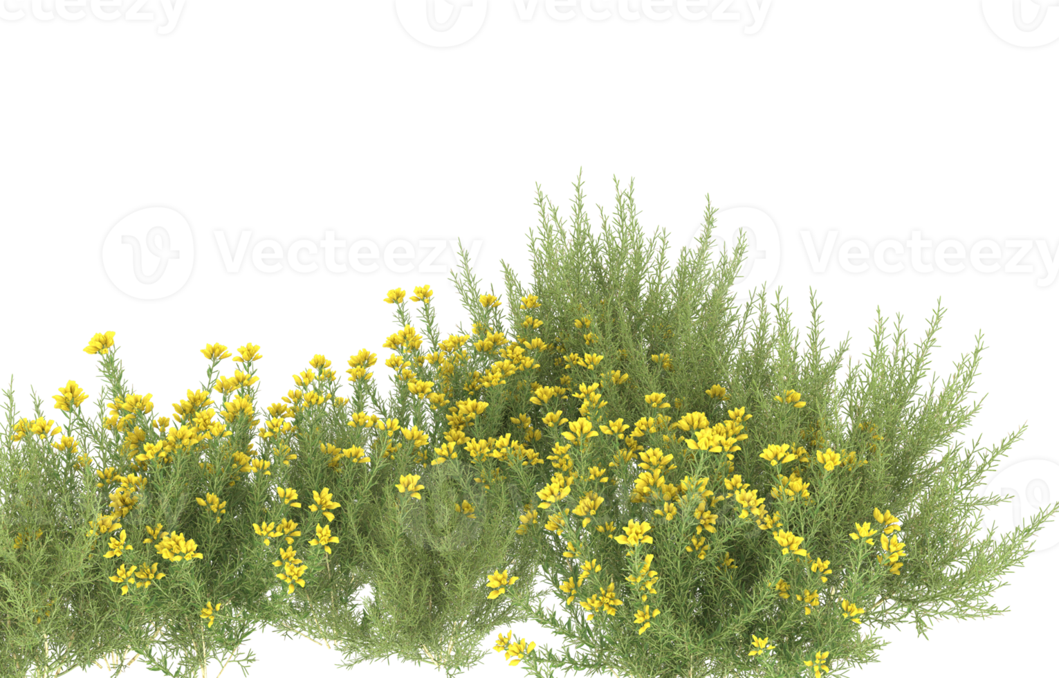 Realistic foliage isolated on transparent background. 3d rendering - illustration png