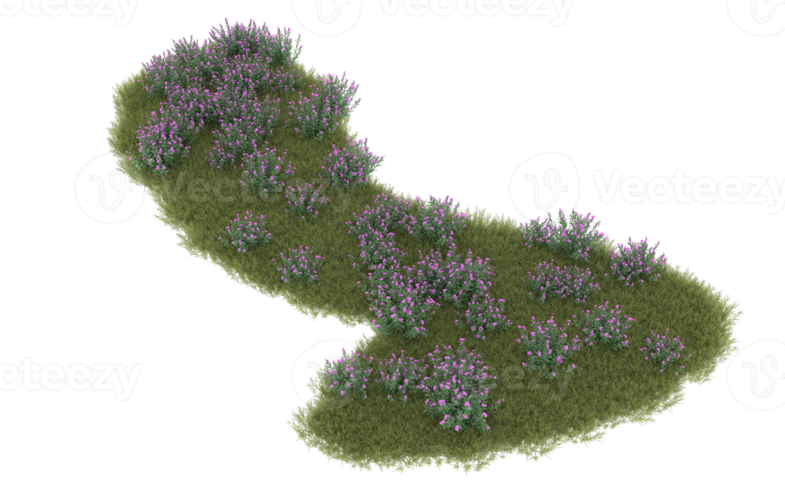 Realistic foliage isolated on transparent background. 3d rendering - illustration png