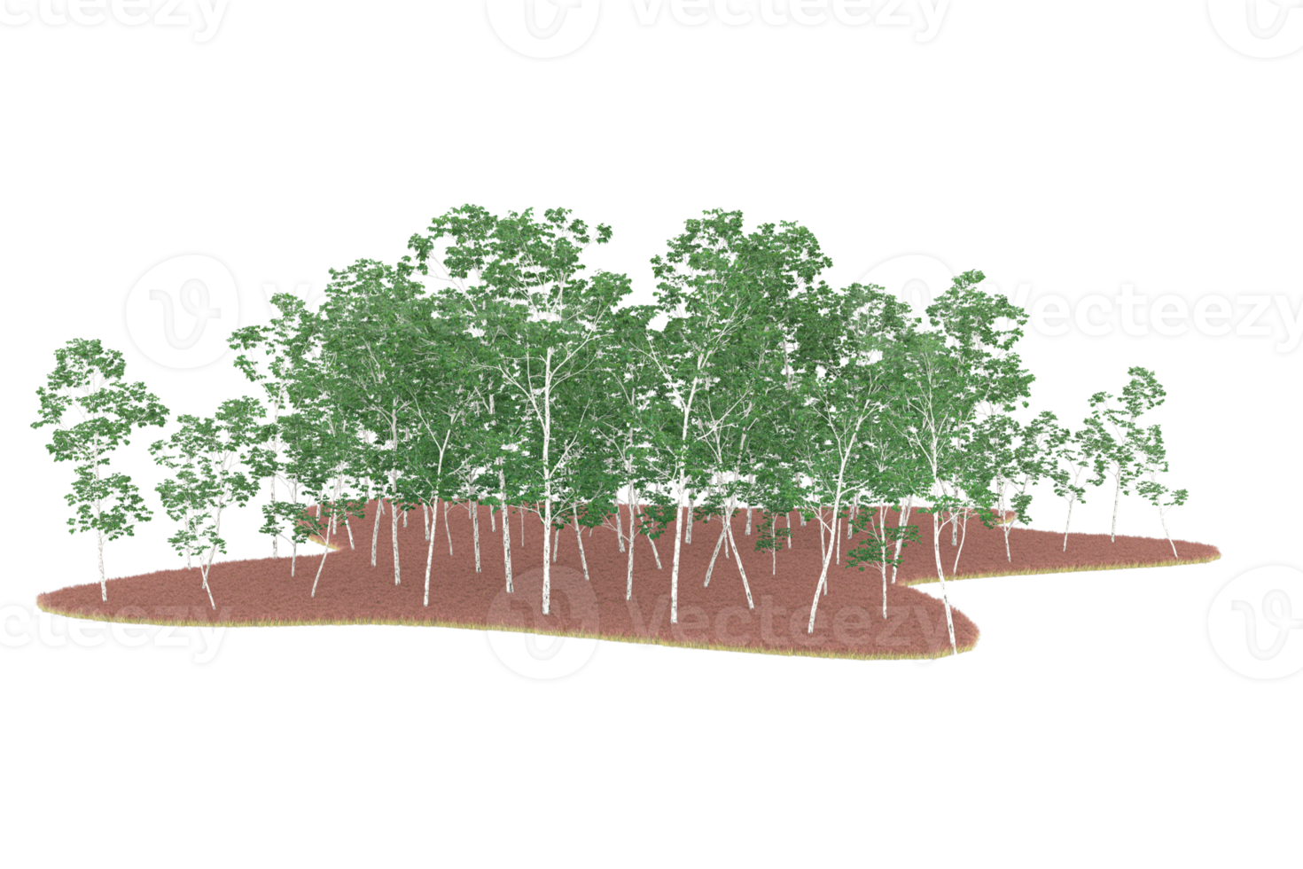 Realistic forest isolated on transparent background. 3d rendering - illustration png