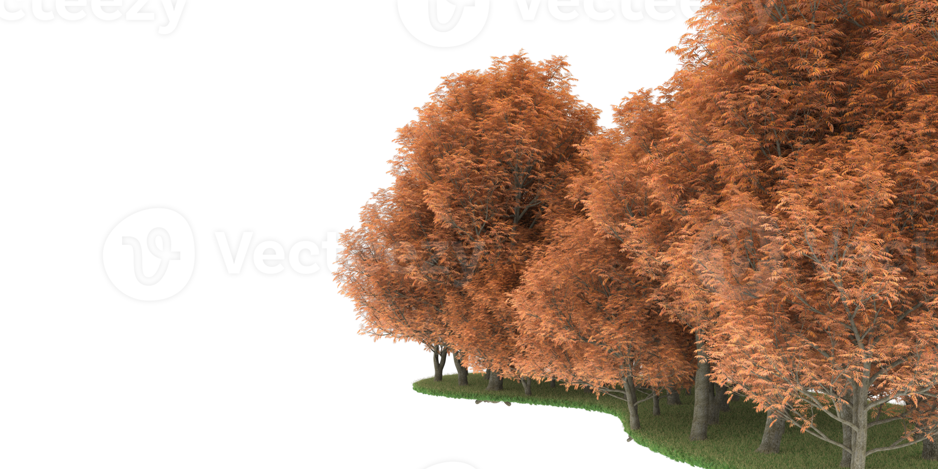 realistico foresta isolato su trasparente sfondo. 3d interpretazione - illustrazione png