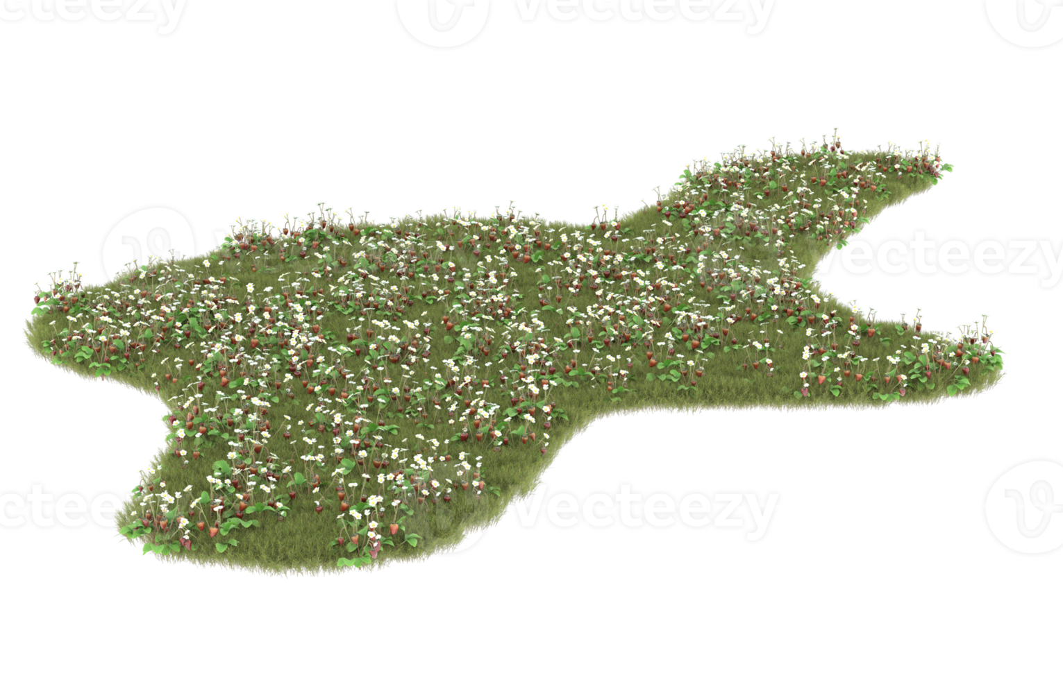 Realistic foliage isolated on transparent background. 3d rendering - illustration png