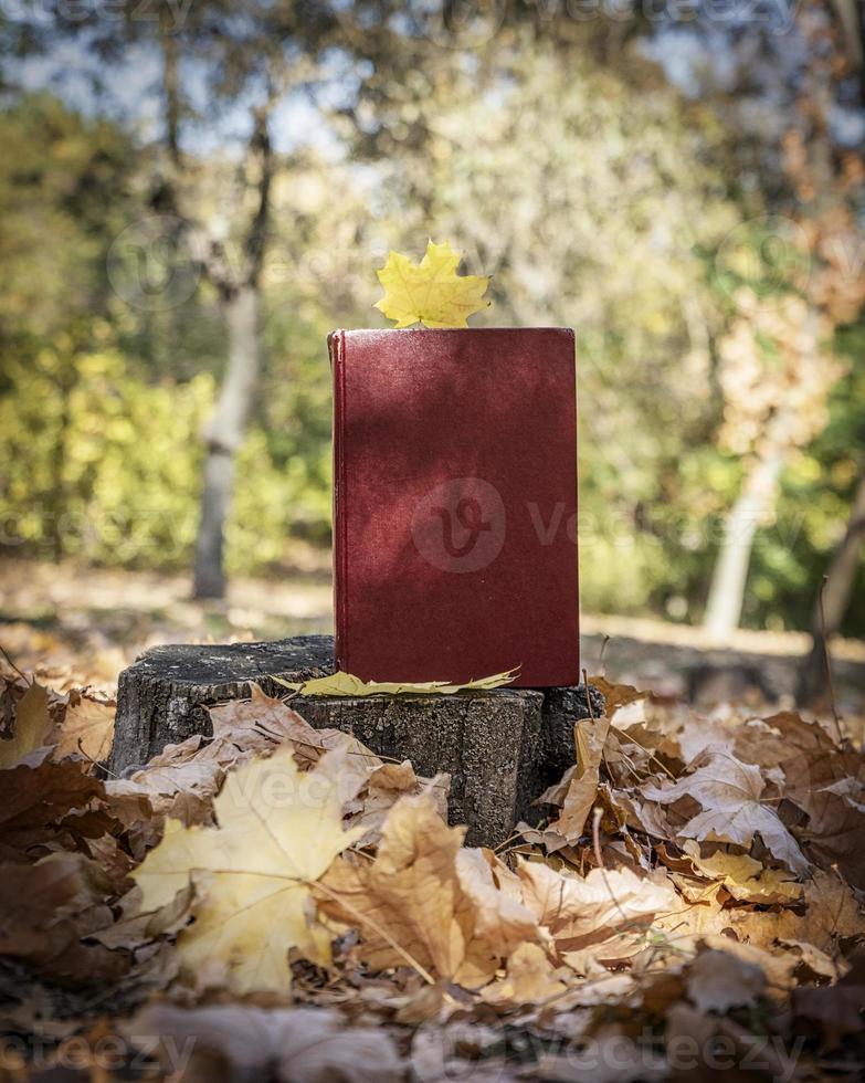 yellow maple leaf and a closed book with a red cover photo