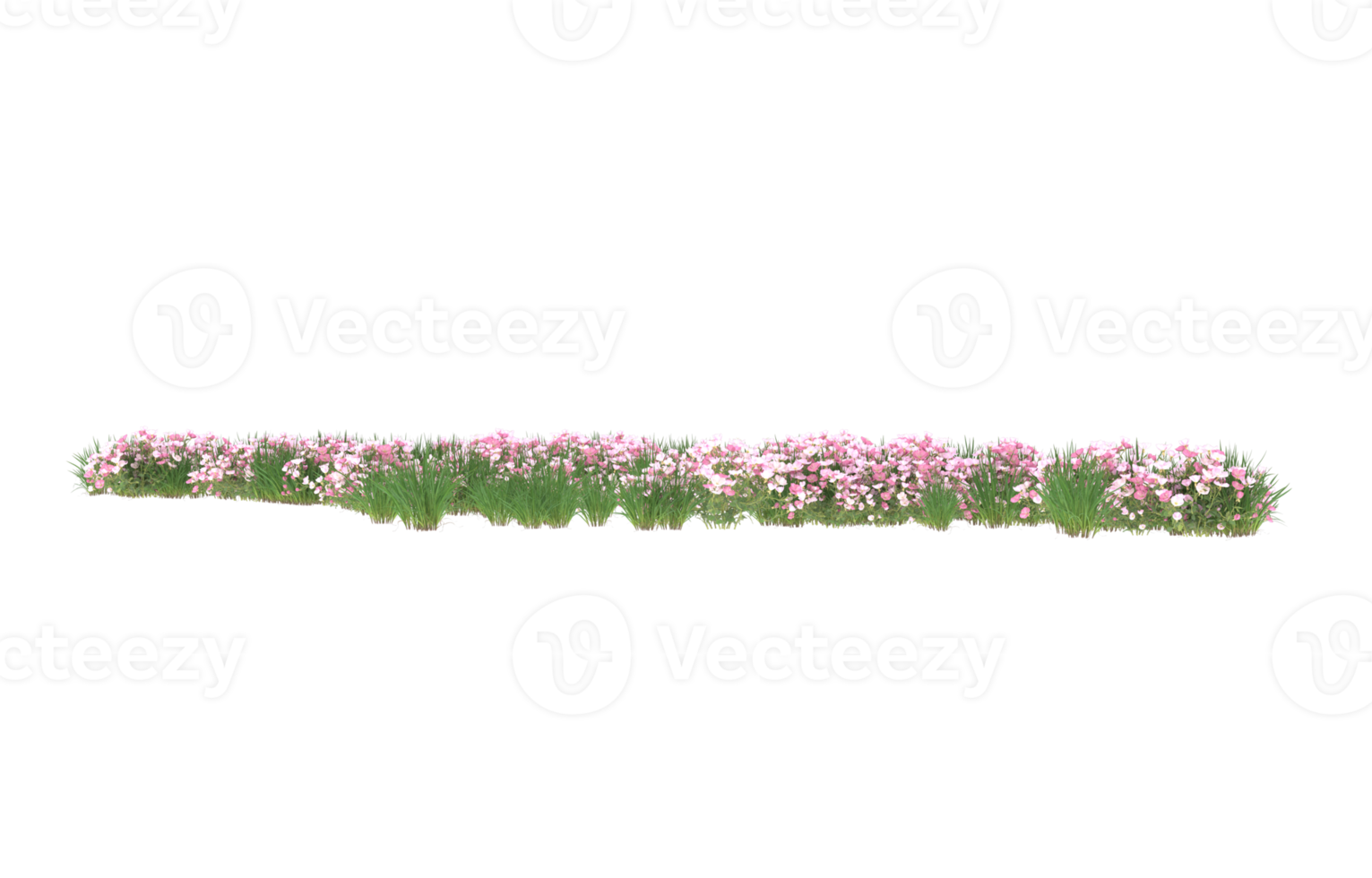 Realistic foliage isolated on transparent background. 3d rendering - illustration png