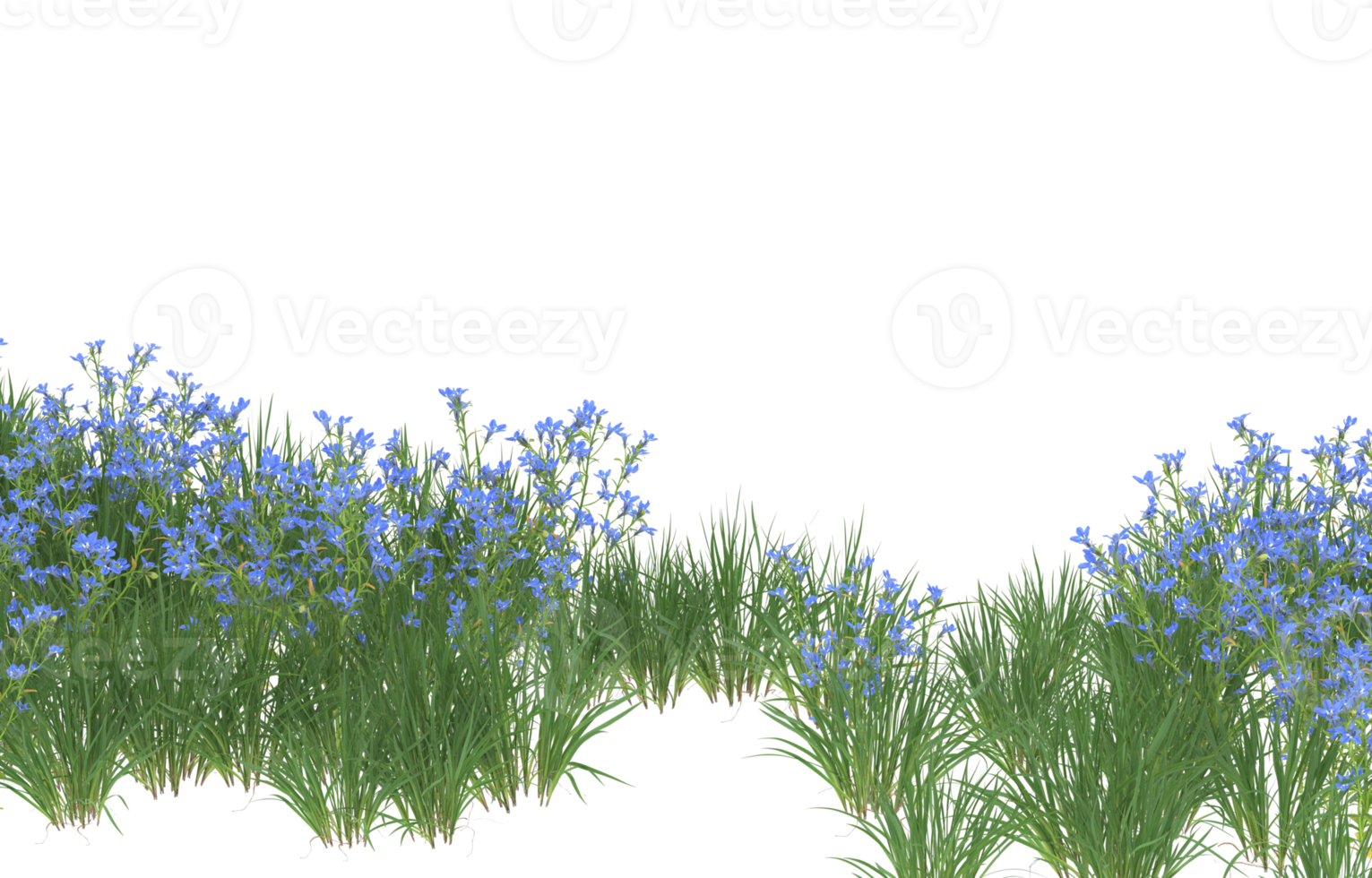 Realistic foliage isolated on transparent background. 3d rendering - illustration png