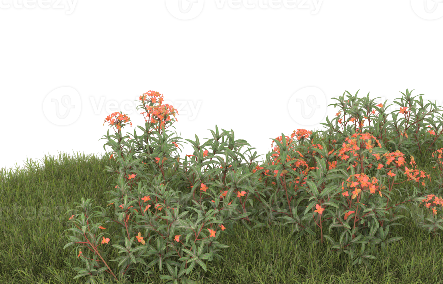 Realistic foliage isolated on transparent background. 3d rendering - illustration png