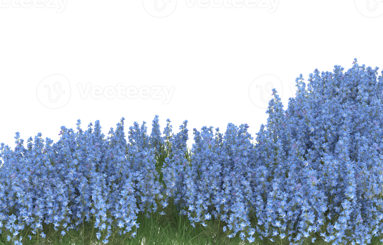 Realistic foliage isolated on transparent background. 3d rendering - illustration png