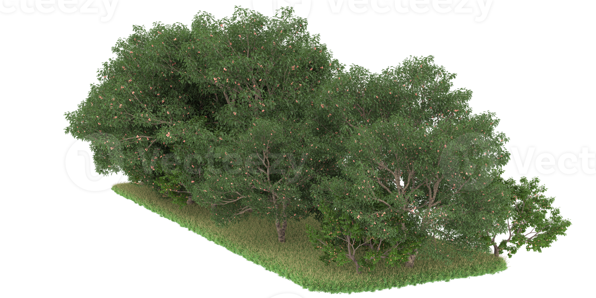 Realistic forest isolated on transparent background. 3d rendering - illustration png