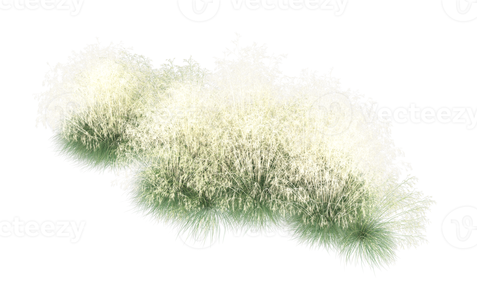 Realistic foliage isolated on transparent background. 3d rendering - illustration png