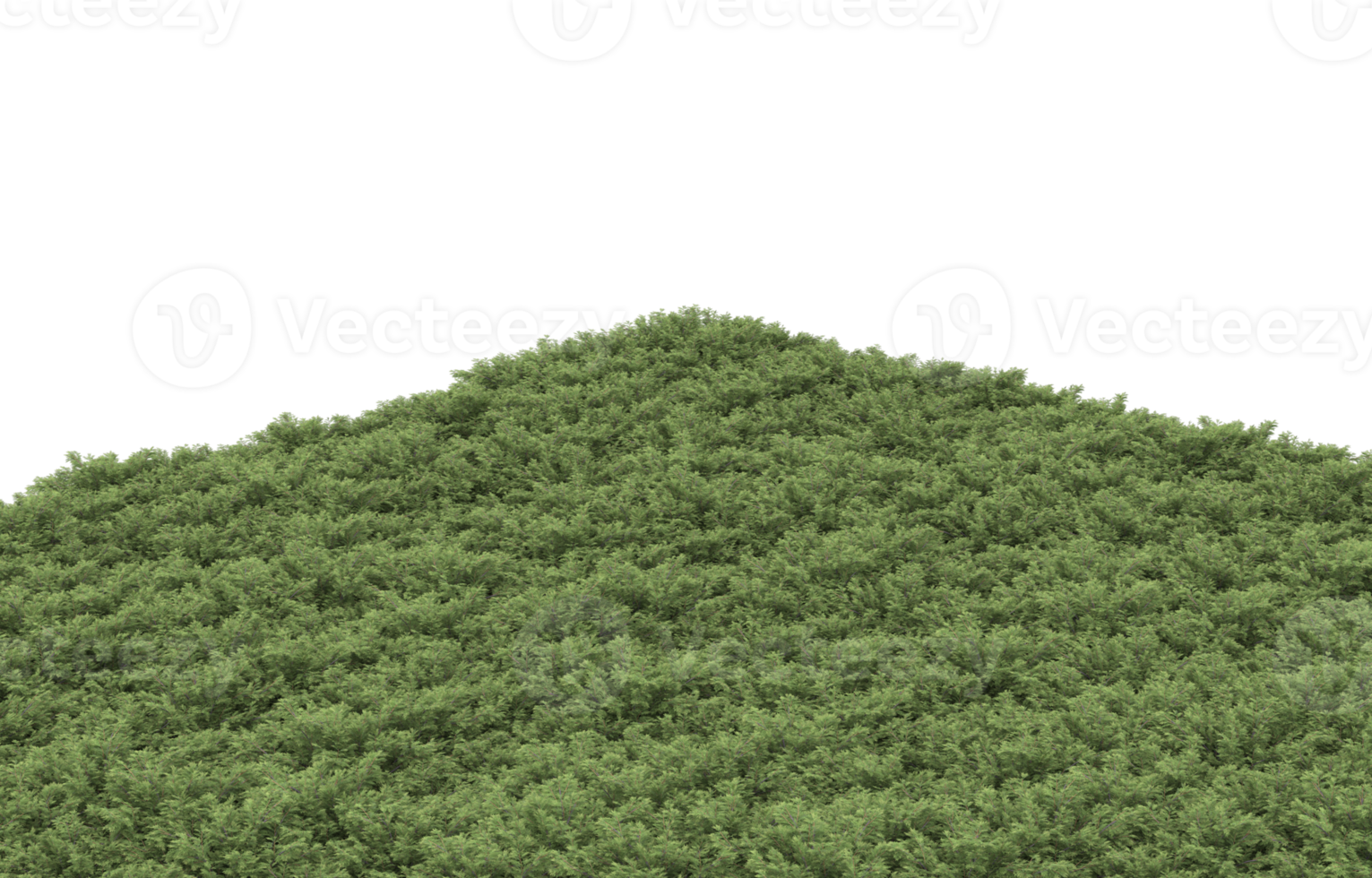 Realistic foliage isolated on transparent background. 3d rendering - illustration png