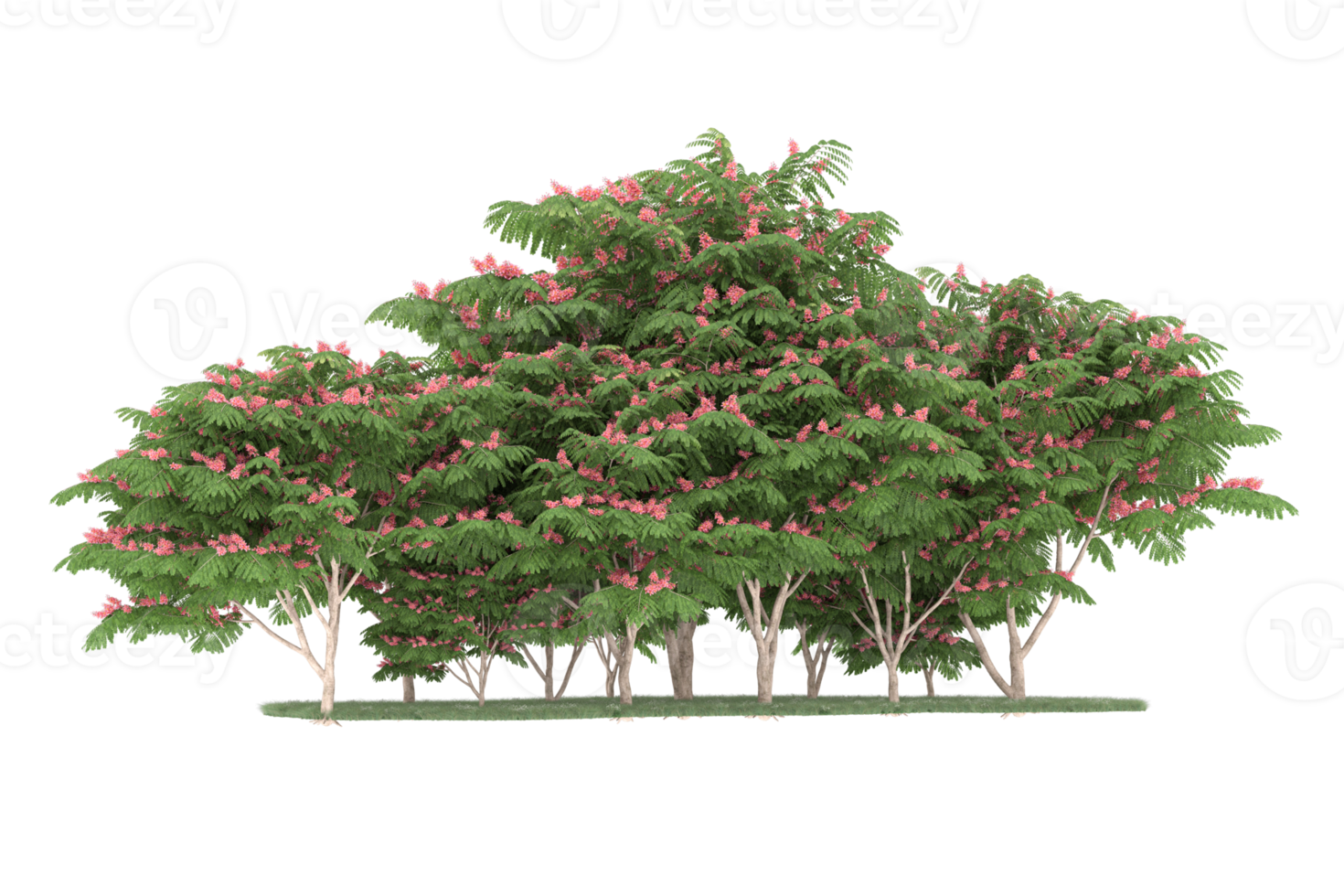 Realistic forest isolated on transparent background. 3d rendering - illustration png