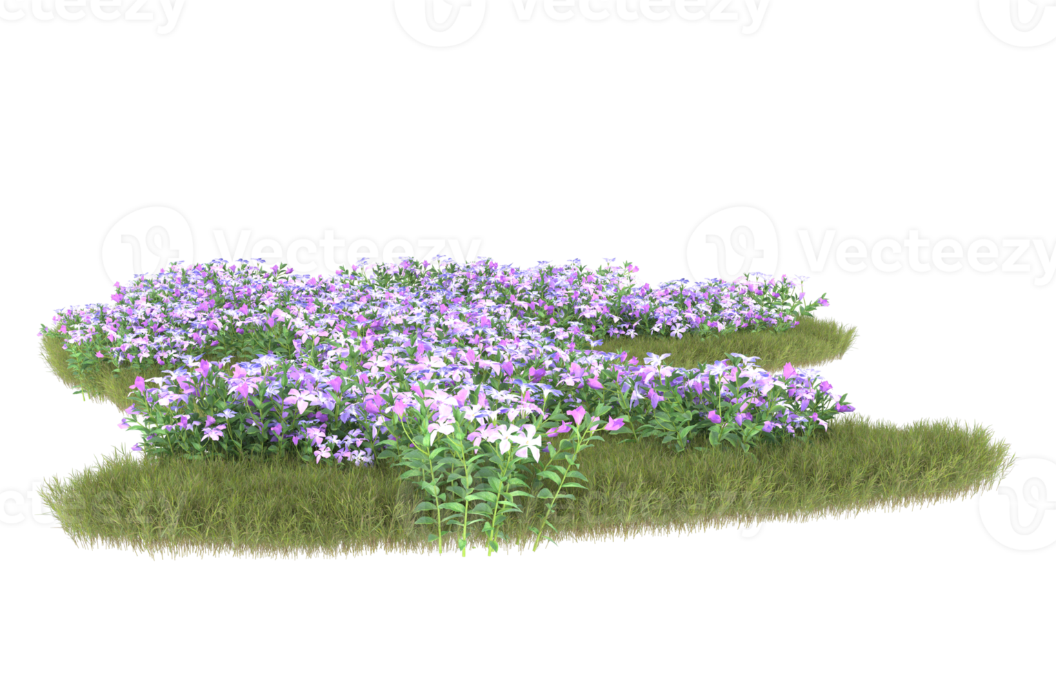 Realistic foliage isolated on transparent background. 3d rendering - illustration png