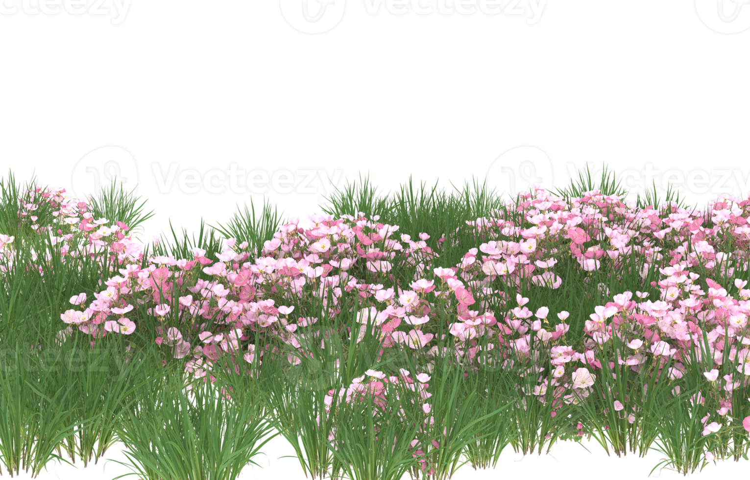Realistic foliage isolated on transparent background. 3d rendering - illustration png