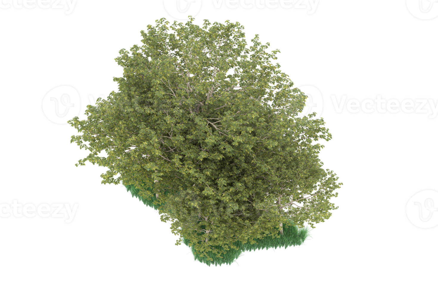 Realistic forest isolated on transparent background. 3d rendering - illustration png