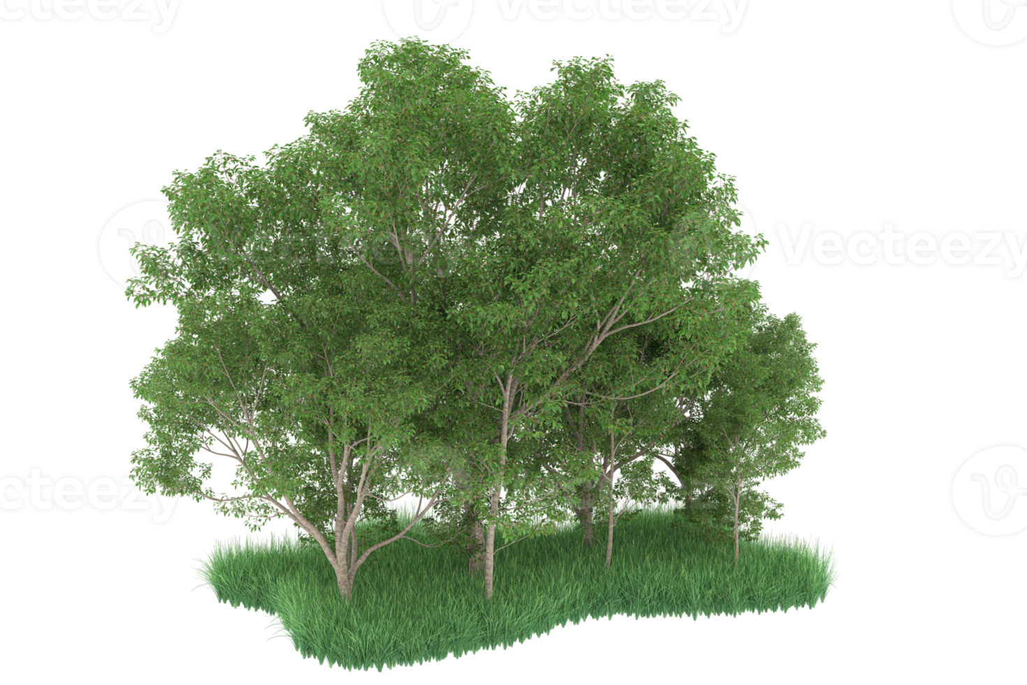 Realistic forest isolated on transparent background. 3d rendering - illustration png
