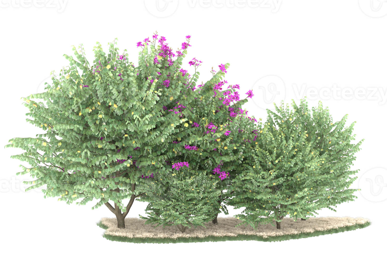 Realistic forest isolated on transparent background. 3d rendering - illustration png