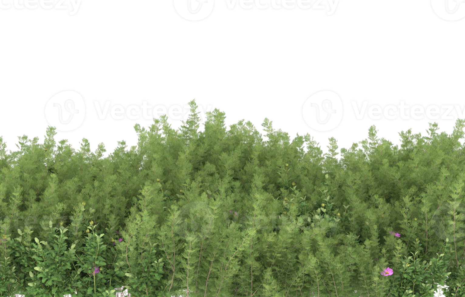 Realistic foliage isolated on transparent background. 3d rendering - illustration png