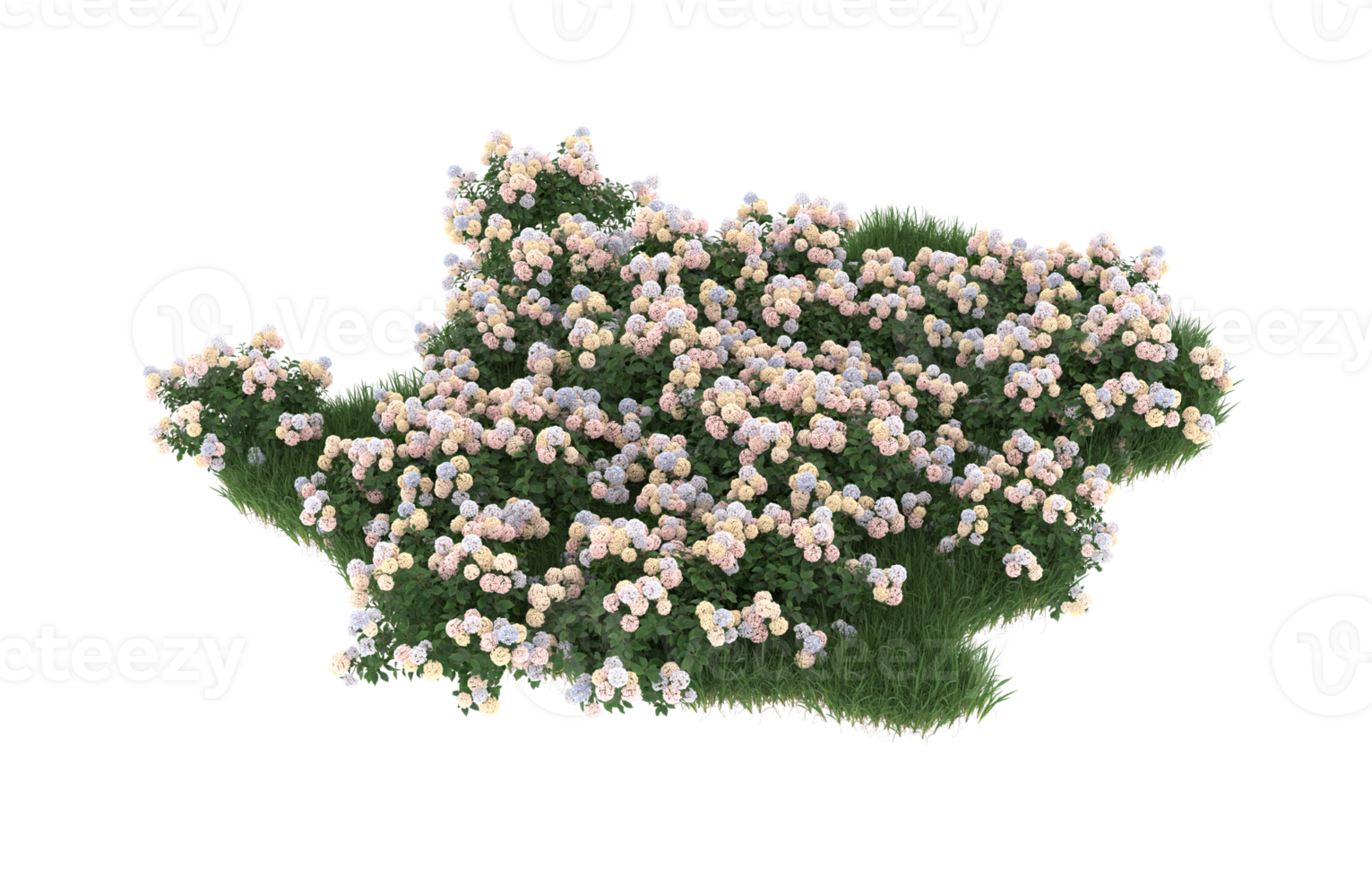 Realistic foliage isolated on transparent background. 3d rendering - illustration png