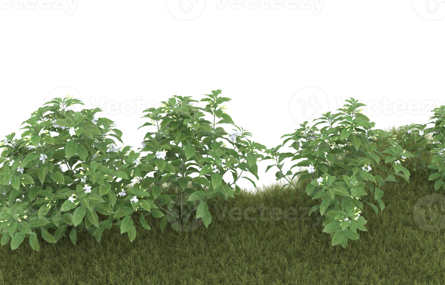 Realistic foliage isolated on transparent background. 3d rendering - illustration png